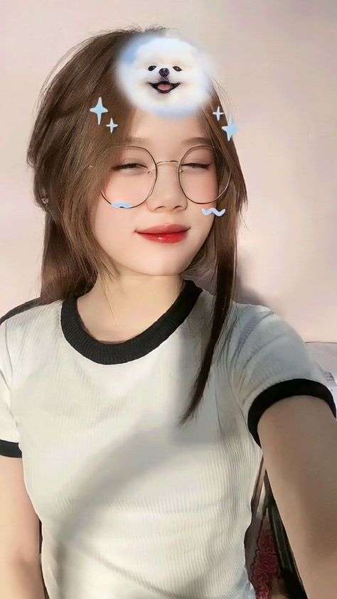 八戒八戒在线观看免费高清电视剧